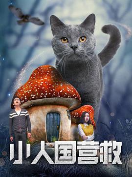 91网址